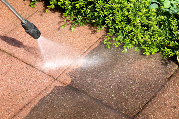  Fort Mohave, AZ Pressure Washing Pros